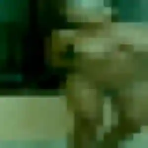 Cassandre, 29 ans, cherche un rencontre coquine à Le Controis-en-Sologne
