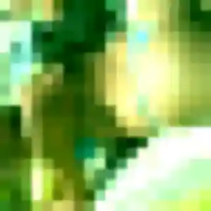 Profil de Aisha à Le Marin (36 ans) - rencontre coquine gratuit