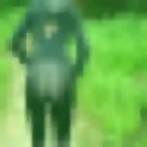 Laure, 34 ans, en ligne à Le Mesnil-Saint-Denis pour un rencontre coquine