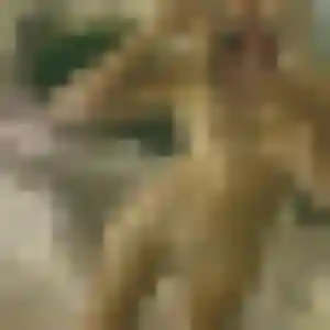 Profil de Orane à Le Plessis-Trévise (45 ans) - rencontre coquine sans inscription