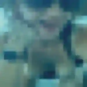 Photo privée de Yvette, 19 ans à Leers - rencontre sans lendemain