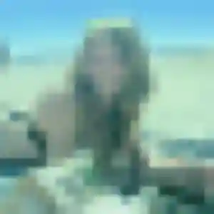 Olga, 29 ans, cherche un rencontre coquine à Léognan
