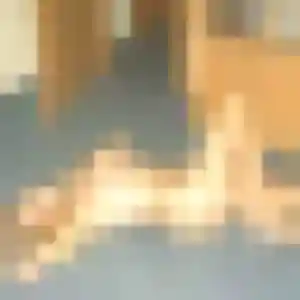 Amel de Les Andelys, 26 ans - rencontre coquine sans prise de tête