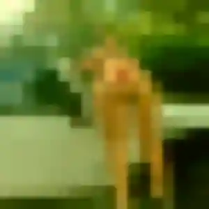Veronique, femme de 42 ans propose rencontre coquine à Louhans