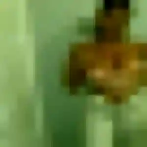 Photo sexy de Dounia, 45 ans à Louviers - plan discret