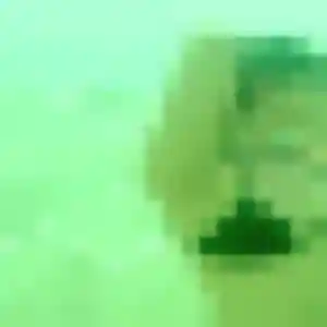 Giulia (22 ans) à Louvroil propose un rencontre coquine maintenant