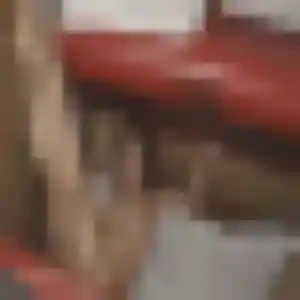 rencontre coquine à Lys-Haut-Layon : profil de Harmony, 23 ans - accès libre