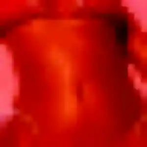 Ursule, fille de 21 ans cherche rencontre coquine à Manosque