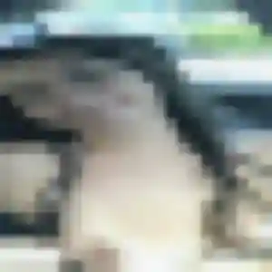 Frederique, fille de 25 ans cherche rencontre coquine à Marguerittes