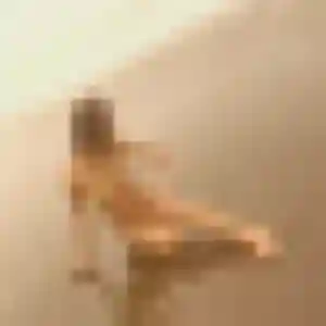 Touria, femme de 27 ans veut rencontre coquine à Meung-sur-Loire