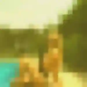 Profil de Delice à Montauban (35 ans) - rencontre coquine sans inscription