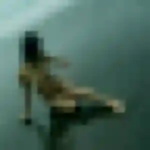 Celeste de Montech, 38 ans - rencontre coquine sans prise de tête