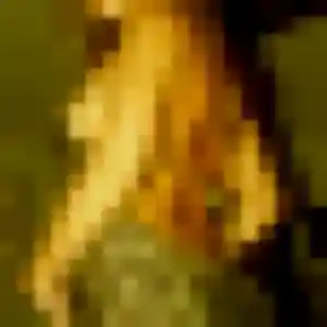 Inaya, 21 ans, en ligne à Montfort-sur-Meu pour une rencontre coquine