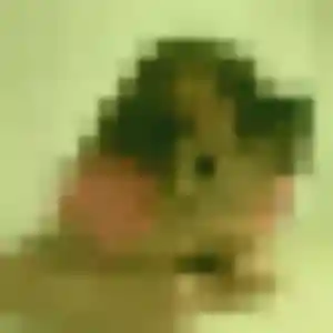 Contacte Alessandra, 37 ans à Nieppe gratuitement