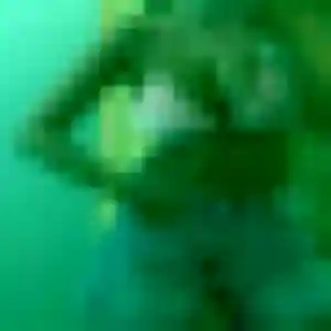 Contacte Rachida, 32 ans à Noyal-sur-Vilaine en t'inscrivant