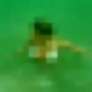 Urielle, femme de 24 ans cherche rencontre coquine à Onnaing
