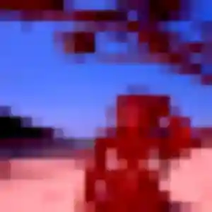 Photo exclusive de Ambre, 37 ans à Pacé - rencontre coquine