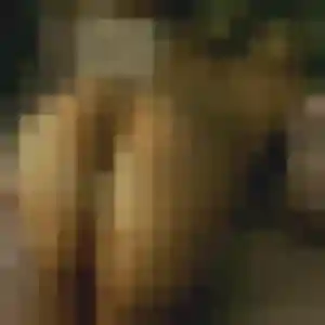 Dana, 35 ans, connectée à Pecquencourt pour un rencontre coquine