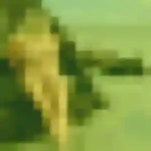 Domitille, 37 ans, disponible à Penmarch pour une rencontre coquine