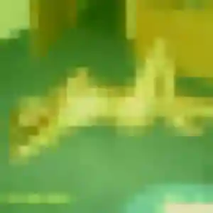 Photo sexy de Renee, 23 ans à Ploufragan - rencontre sans lendemain