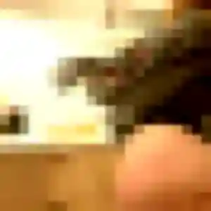 Candice (20 ans) à Plougastel-Daoulas cherche un rencontre coquine maintenant