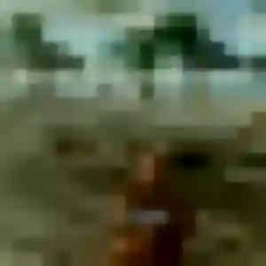 Elvire, 36 ans, connectée à Pointe-à-Pitre pour une rencontre coquine