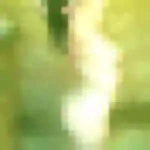 Sylviane, 25 ans, veut un rencontre coquine à Prades-le-Lez