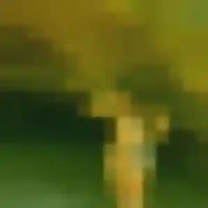 Veronique, femme de 35 ans propose rencontre coquine à Rennes