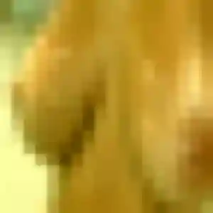 Photo sexy de Ornella, 29 ans à Riedisheim - plan discret