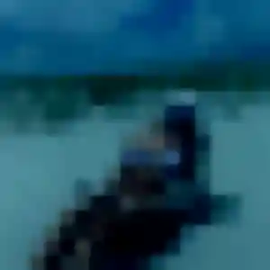 Berenice (26 ans) à Rouvroy propose un rencontre coquine maintenant