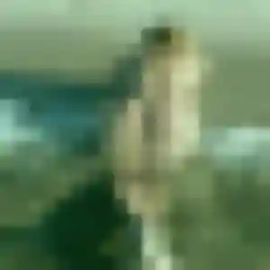 Benedicte, 35 ans, cherche un rencontre coquine à Saint-Germain-en-Laye