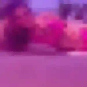 Amel, 37 ans, veut un rencontre coquine à Saint-Jean-d'Illac