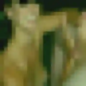 Photo de Iseult à Saint-Malo (24 ans) - rencontre coquine sans inscription