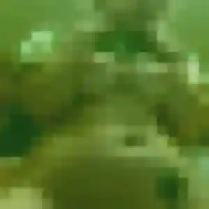 Profil de Ariane à Saint-Martin-de-Seignanx (40 ans) - rencontre coquine discret