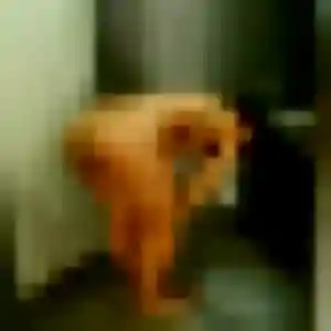 Capucine, 25 ans, dispo pour rencontre coquine à Saint-Martin-lez-Tatinghem