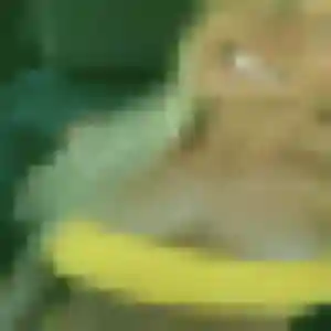 Judith, femme de 41 ans cherche rencontre coquine à Saint-Pée-sur-Nivelle