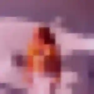 Photo de Josephine à Saint-Pierre-du-Mont (27 ans) - rencontre coquine discret