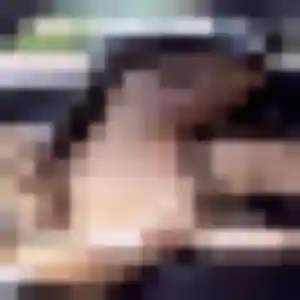 Profil de Fleur à Saint-Raphaël (41 ans) - rencontre coquine anonyme