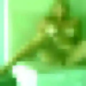 Profil de Agathe à Saint-Rémy-lès-Chevreuse (23 ans) - rencontre coquine anonyme