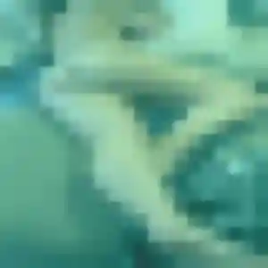 Violette, fille de 21 ans cherche rencontre coquine à Saint-Saturnin-lès-Avignon