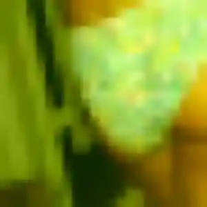 Graziella, 43 ans, cherche un rencontre coquine à Sainte-Rose