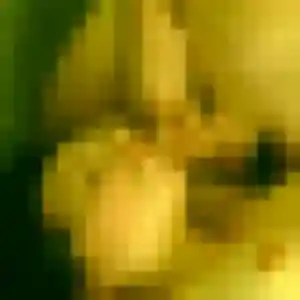 Sibylle, 44 ans, cherche un rencontre coquine à Sainte-Rose