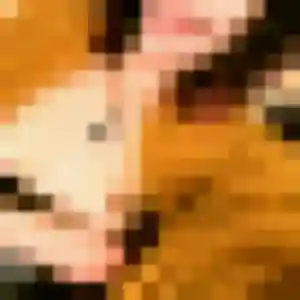rencontre coquine à Sassenage : profil de Brune, 45 ans - accès libre
