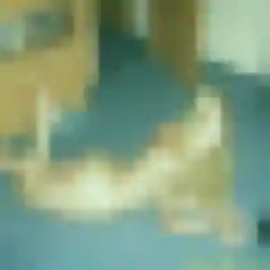 Profil de Nelly à Sathonay-Camp (24 ans) - rencontre coquine anonyme