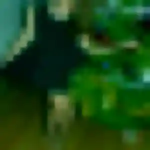 Profil de Verane à Sathonay-Camp (39 ans) - rencontre coquine anonyme