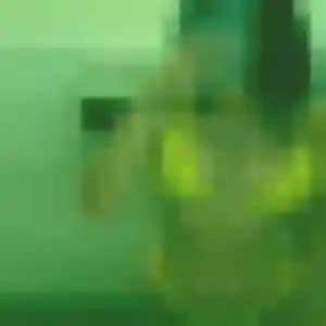 Heloise (28 ans) à Sèvres cherche une rencontre aujourd'hui