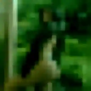 rencontre coquine à Templeuve-en-Pévèle : profil de Brune, 43 ans - accès libre