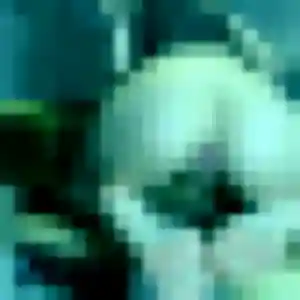 Photo exclusive de Valentina, 42 ans à Thônes - plan discret