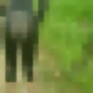 Augustine, 27 ans, veut un rencontre coquine à Thorigné-Fouillard