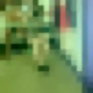 Domitille de Torcy, 31 ans - rencontre coquine sans lendemain